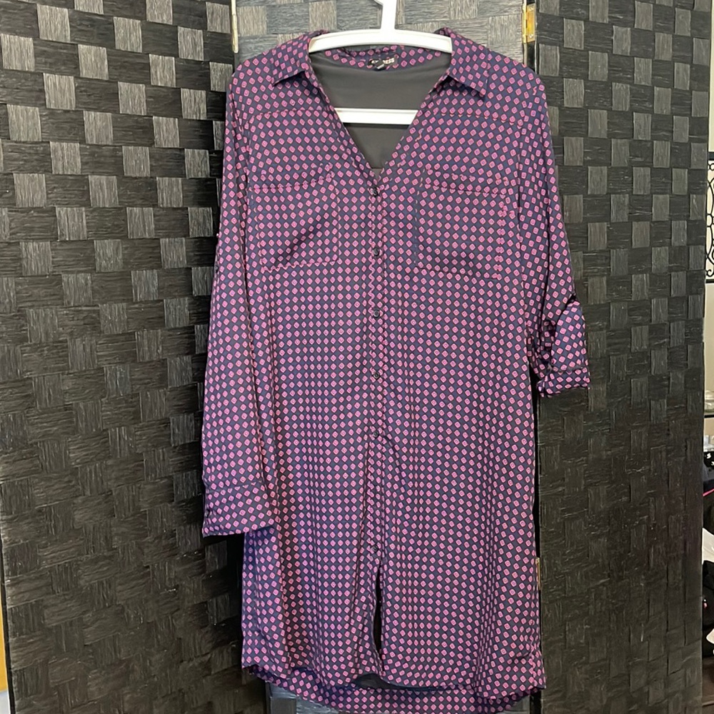 Express Women’s Dress